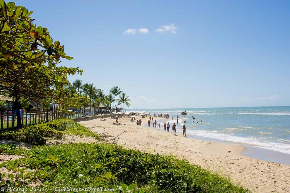 Imagem da vegetação da bela Praia de Apaga Fogo.